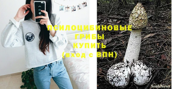таблы Алексин