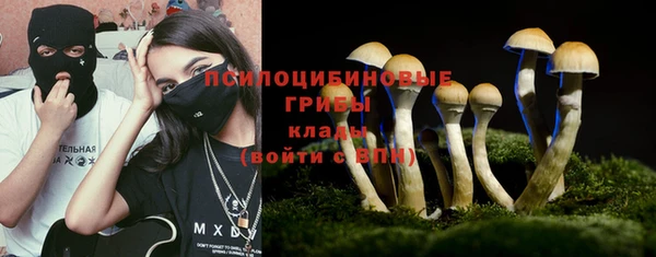 дживик Алексеевка