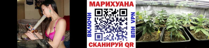 Марихуана план  Фёдоровский 